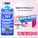 倍世（BWT） 第4代镁离子活力款滤芯 德国技术欧洲原装进口 过滤净水器家用滤水壶净水杯净水壶用 【镁离子】6只装
