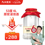 九江双蒸米香型白酒 53度6年原浆浸泡酒4L纯粮白酒浸泡人参灵芝药材养生酒