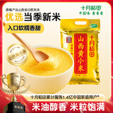 十月稻田 24年新米 山西黄小米 2.5kg 五谷杂粮 粗粮 早餐小米粥 真空5斤