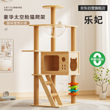 乐妃猫爬架子猫窝猫树一体小型不占地猫架猫咪太空舱跳台玩具