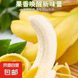 海南甜香蕉 现摘现发 到货3-5天可食用新鲜水果 海南超甜香蕉 1斤带箱 香甜