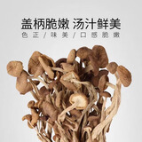 森百味东北特产礼盒南北干货蘑菇菌菇汤包野生榛蘑松蘑香菇羊肚菌鹿茸菇 茶树菇250g*1袋