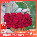 京东鲜花红玫瑰花10枝山东基地送爱人礼物热卖鲜花枝长50-55cm源头直发