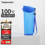 特百惠（Tupperware）茶韵500ML塑料杯 男女学生便携夏季水杯子大容量办公用 纯净蓝