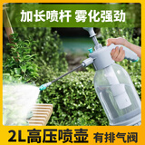 芷郁 喷壶家用气压式喷雾器浇花洒水壶洗车消毒高压喷水壶 2L加长杆