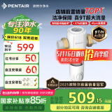 滨特尔（pentair）前置过滤器大通量家用全屋自来水管道40μm过滤器9吨/H大流量水驱涡轮+反冲洗刮洗净水器 【升级9T/H】S160前置过滤器