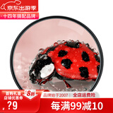 蒂森特（dste） 近摄镜 +10 10倍放大镜 微距镜片 配件 滤镜 缩近焦距 近摄镜+10/82mm