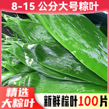 优优马野生新鲜大号粽子叶农家箬竹叶端午节包粽子100片600g±10左右