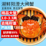 【活蟹】湖鲜阳澄 大闸蟹 去绳足重 3.0-3.3两 12只 鲜活六月黄现货超大螃蟹海鲜礼盒装