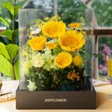 JoyFlower永生花向日葵摆件生日礼物结婚一举夺魁中高考毕业送女生朋友老师