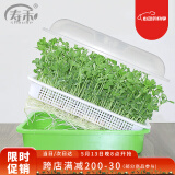 寿禾 芽苗菜盘带盖保温无土栽培水培种植盘 保温育苗盘*1