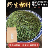 内廷上用松针中药材500g新鲜叶干长白山中药马尾松特级干松针茶