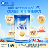 嘉宝（GERBER）HMO母乳低聚糖婴儿配方米粉250g宝宝辅食高铁营养米糊