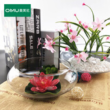 奥美优水培容器玻璃花盆睡莲碗莲专用盆大号水仙盆大口径铜钱草玻璃缸