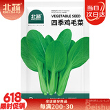 北蔬 鸡毛菜种子苗速生小青菜阳台种夏四季菜籽 四季鸡毛菜种子4000粒