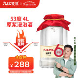 九江双蒸米香型白酒 53度6年原浆浸泡酒4L纯粮白酒浸泡人参灵芝药材养生酒