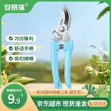 安赛瑞 修枝剪刀果树剪园艺剪 盆栽剪花卉工具园林绿植剪刀花艺 5J00324