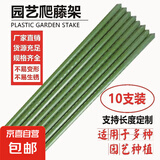 植物爬藤架黄瓜豆角西红柿架植物支撑杆园艺花架葡萄庭院户外 直径20mm长度120cm【10支】