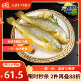 三都港冷冻三去大黄鱼净重2斤/2条装 宁德黄花鱼 生鲜鱼类 端午节