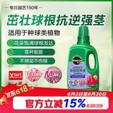 美乐棵种球营养液郁金香风信子马蹄莲植物花肥肥料浓缩植物营养液500ML