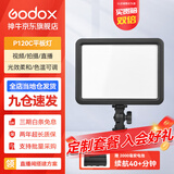 神牛（Godox） 补光灯P120C摄影灯单反摄像机相机摄像灯影视拍照婚庆常亮灯光 P120C平板灯 标配