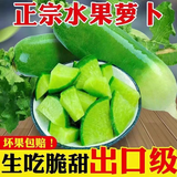 京硕果山东潍坊水果萝卜甜脆水果型潍县沙窝萝卜新鲜青萝卜 5斤