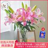 悦多彩AB级优质香水百合 家庭办公室各色生活鲜花 昆明基地 现采直发 粉色百合花30朵（3头10枝）