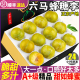 粤迎贵州六马蜂糖李【顺丰多地次日达】脆甜蜂蜜李水果多汁新鲜生送礼 A+级精选中果【单果35-40mm】 净重3斤【30%选择-较划算】