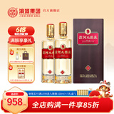 滨河九粮液53度白酒 甘肃名酒九粮香型纯粮酒 高端商务接待白酒 53度 500mL 2瓶 【两瓶装】