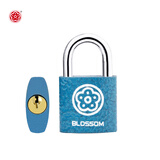 梅花（BLOSSOM）抽屉锁挂锁工具箱室内小锁宿舍柜子门锁电表箱锁BC2925蓝25MM