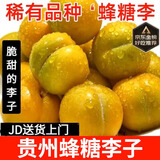 勇者无惧正宗贵州蜂糖李子水果【JD顺丰-多地次日达】2/5斤脆李脱骨李子 特大果单果45-50mm（30%人推荐） 5斤（净重）聚划算 礼盒装
