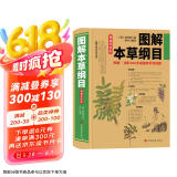 图解本草纲目（图文并茂，直观形象，教你辨识本草。实用养生防病秘方，一看就懂，一学就会，随查随用）