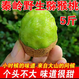 秦岭大山采摘的有毛野生小猕猴桃新鲜采摘孕妇水果绿心5斤包邮甜 5斤野生猕猴桃25-40g（小果）
