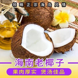 悦己海南特产 老椰子煲汤当季水果新鲜毛椰子热带生鲜椰子蛋椰果榨汁 3个装老椰子（约4.5-6斤）