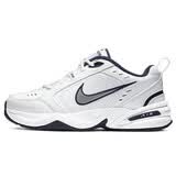 耐克NIKE男春夏老爹鞋AIR MONARCH IV 运动训练鞋415445-102白蓝44.5
