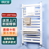 欧比亚小背篓暖气片水暖壁挂式散热器家用卫生间置物架天然气取暖器 高 1000mm*450mm 中心距 亮白色