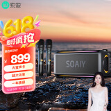 索爱（soaiy）SH05户外K歌5.3蓝牙音箱声卡音响一体机四喇叭双振膜立体声重低音炮混响广场舞直播带2个麦克风