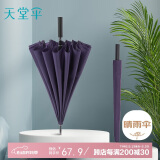天堂 长柄加大雨伞半自动强抗风商务直杆伞晴雨伞65*16骨 紫裳色