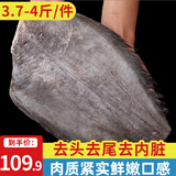 海皇湾格陵兰进口深海冰鲜冷冻鲽鱼身鸦片鱼头超大比目鱼鱼类生鲜批发 超大鲽鱼身 2000g 净重（两只装）