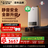 史密斯（A.O.SMITH）13升精钢燃气热水器 【史密斯银河】国家补贴 1级静音认证  安全守护 JSQ26-EDQ6 新品