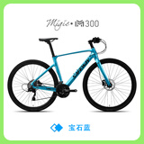 SAFEWAYSAFEWAY赛威公路自行车M300镁合金车架平把全地形砾石公路车瓜车 宝石蓝 17.5英寸 27速