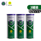 史莱辛格（Slazenger） 网球温网用球铁罐/胶罐训练比赛施莱辛格豹子球练习球专业网球 铁罐三粒装/3筒