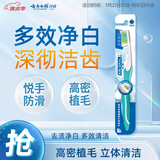 云南白药基础系列多效净白软毛牙刷 高密立体植毛多面清洁 成人 单支装