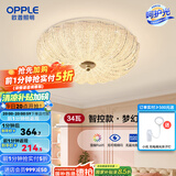 欧普（OPPLE）照明法式奶油风仙气水晶砂吸顶灯简约灯具饰百搭卧室客厅 【智控】水晶南瓜-34W
