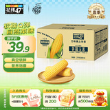 北纬47° 黄糯玉米2.4斤(200g*6根) 东北粘黏鲜玉米棒真空包装  早餐苞米