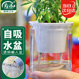 寿禾 懒人盆自吸盆双层透明室内桌面植物盆 透明懒人盆x2个装