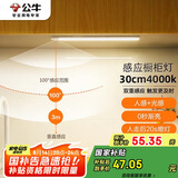 公牛（BULL）感应橱柜灯衣柜灯LED人感光感磁吸 卧室床沿玄关小夜灯30CM4000K