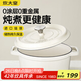 炊大皇珐琅锅铸铁锅家用炖锅砂锅汤锅焖烧锅电磁炉燃气煮锅24cm