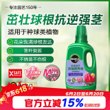 美乐棵种球营养液郁金香风信子马蹄莲植物花肥肥料浓缩植物营养液500ML