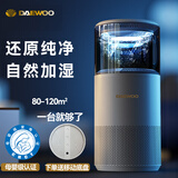 大宇（DAEWOO） 无雾加湿器卧室空气净化一体婴儿大容量家用除菌落地式冷蒸发办公室客厅大面积增湿母婴级 J11-Ultra智能WiFi款